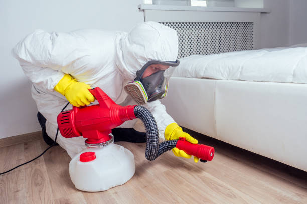 Emergency Pest Control Services in Lewiston, MN